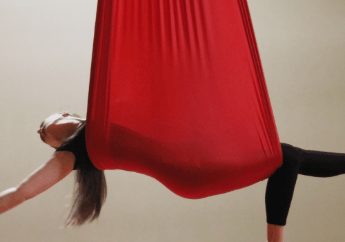 Brandi L. as aerialist